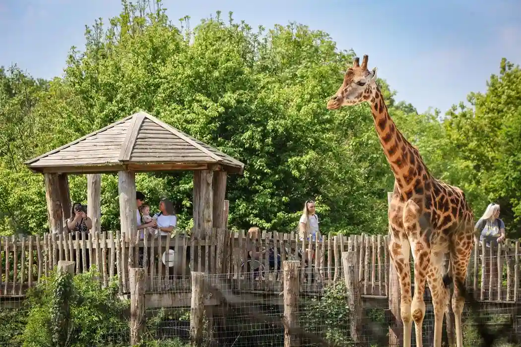 Zoo
